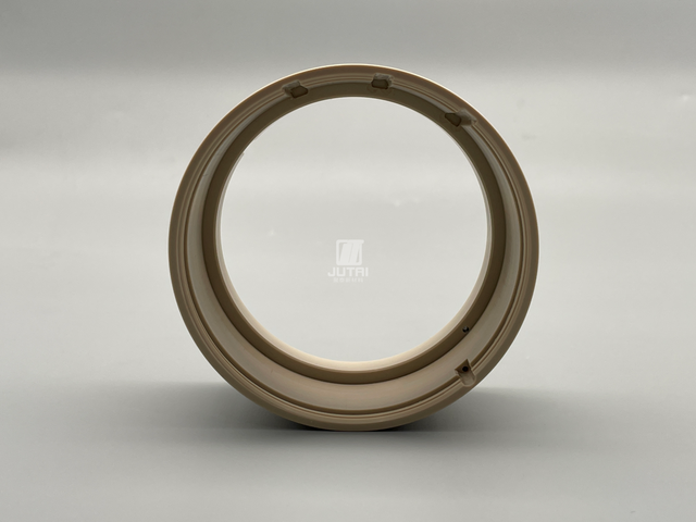 PEEK Bearings