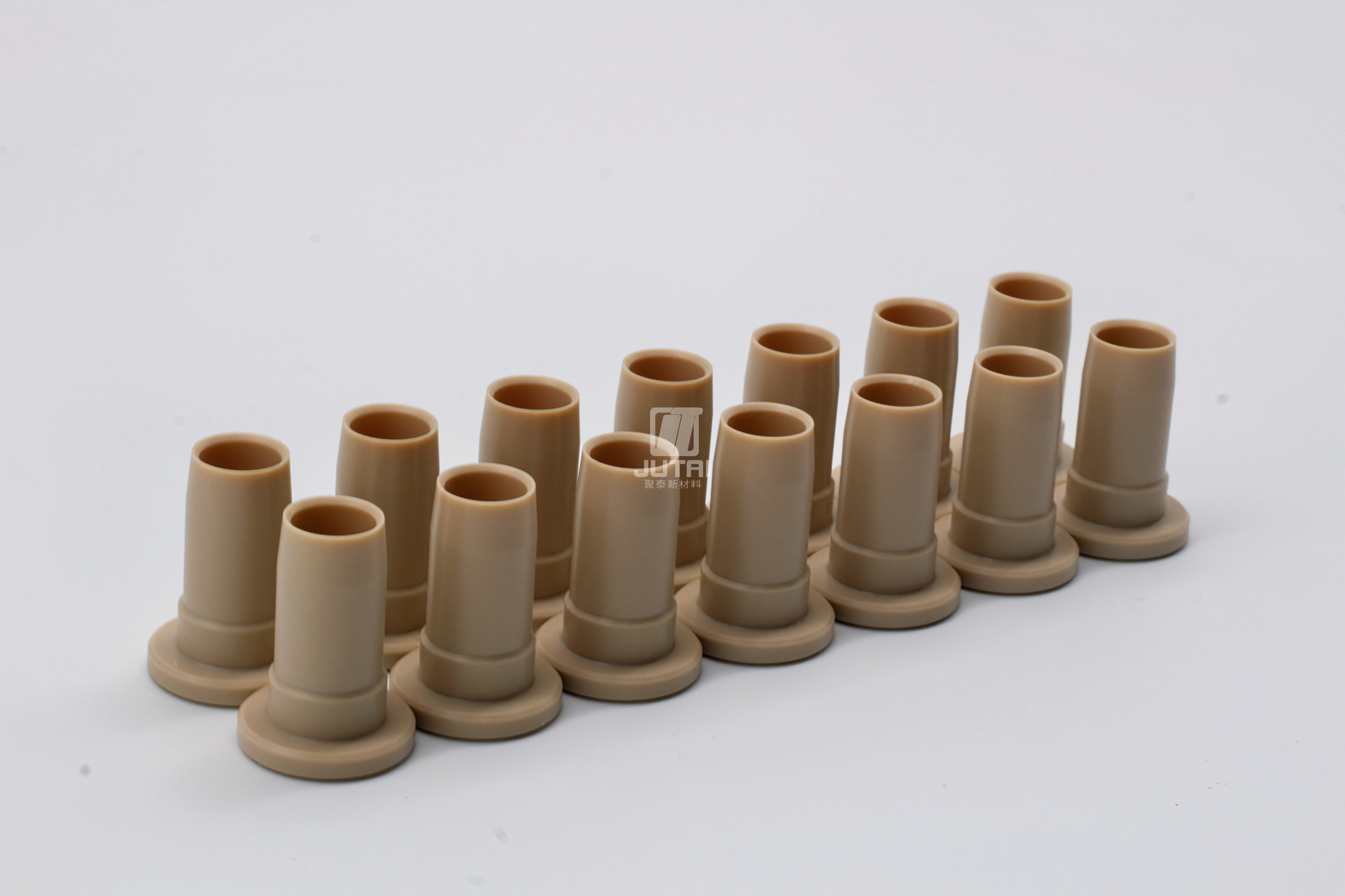 PEEK Bearings