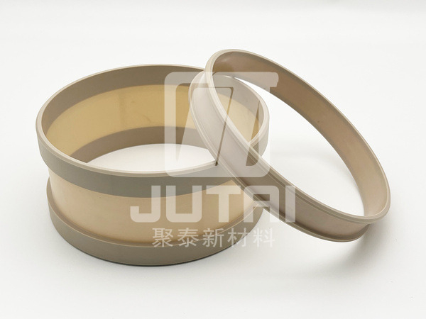 PEEK Bearings
