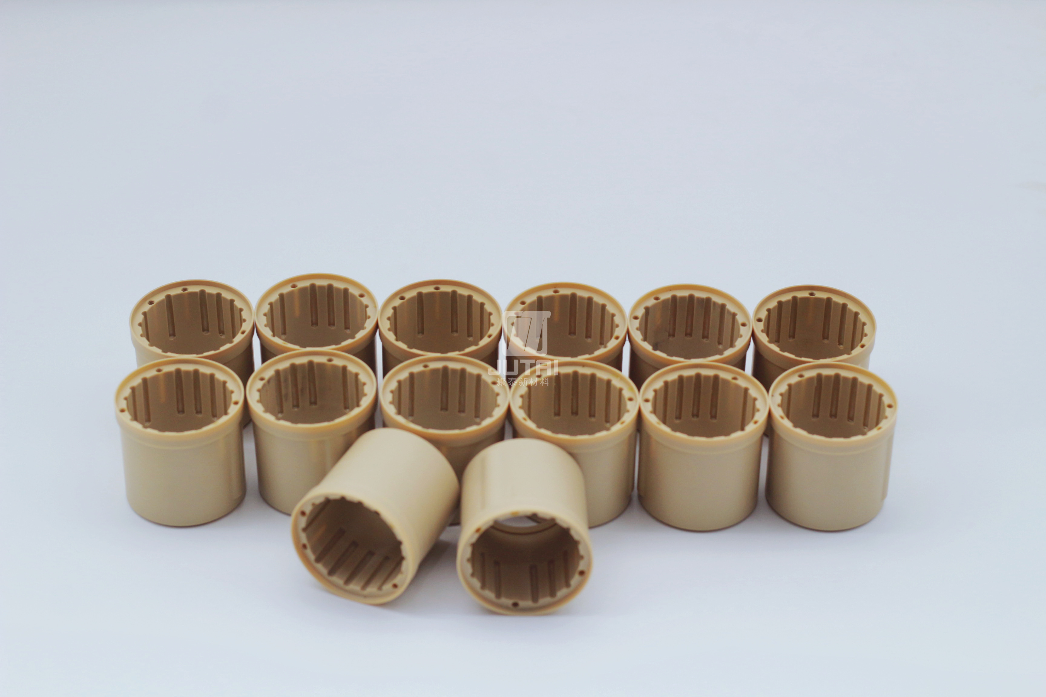 PEEK Bearings